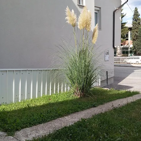 Appartement Musinbegovic *